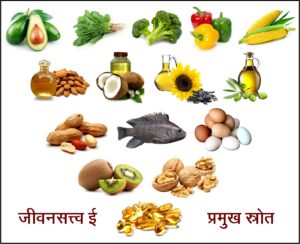 Read more about the article जीवनसत्त्व ई (Vitamin E)