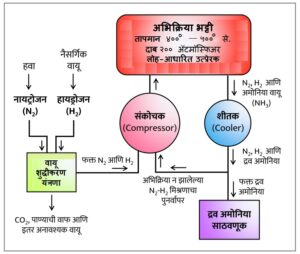 Read more about the article हाबर-बॉश विक्रिया  (Haber-Bosch process)