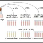 जीवाणू मापनपद्धती : संभाव्य संख्या तंत्र  (Most probable number technique)