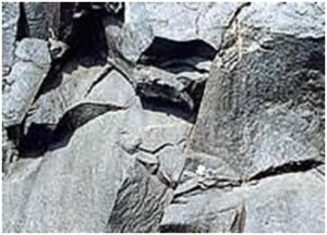 शिला स्मारके : चार्नोकाइट (Rock Monuments : Charonockite)