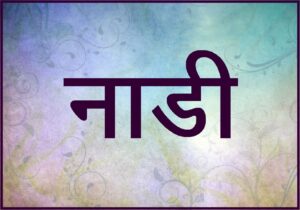 Read more about the article नाडी  (Channel of Prana)