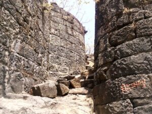 Read more about the article मानगड (Mangad Fort)