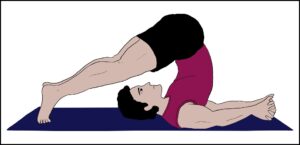 Read more about the article हलासन (Halasana)