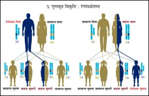 Read more about the article लिंग गुणसूत्र विकृती : रंगांधत्व (Sex chromosome disorder : Color blindness)