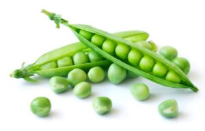 Read more about the article वाटाणा (Pea)