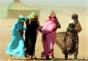 सहारा वाळवंटातील लोक व समाजजीवन (People and Social Life of Sahara Desert)
