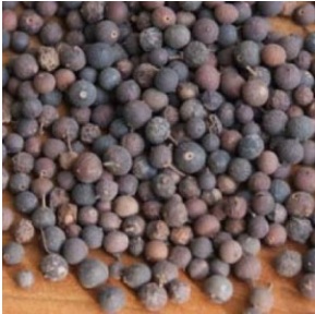 Read more about the article वावडिंग (False black pepper)