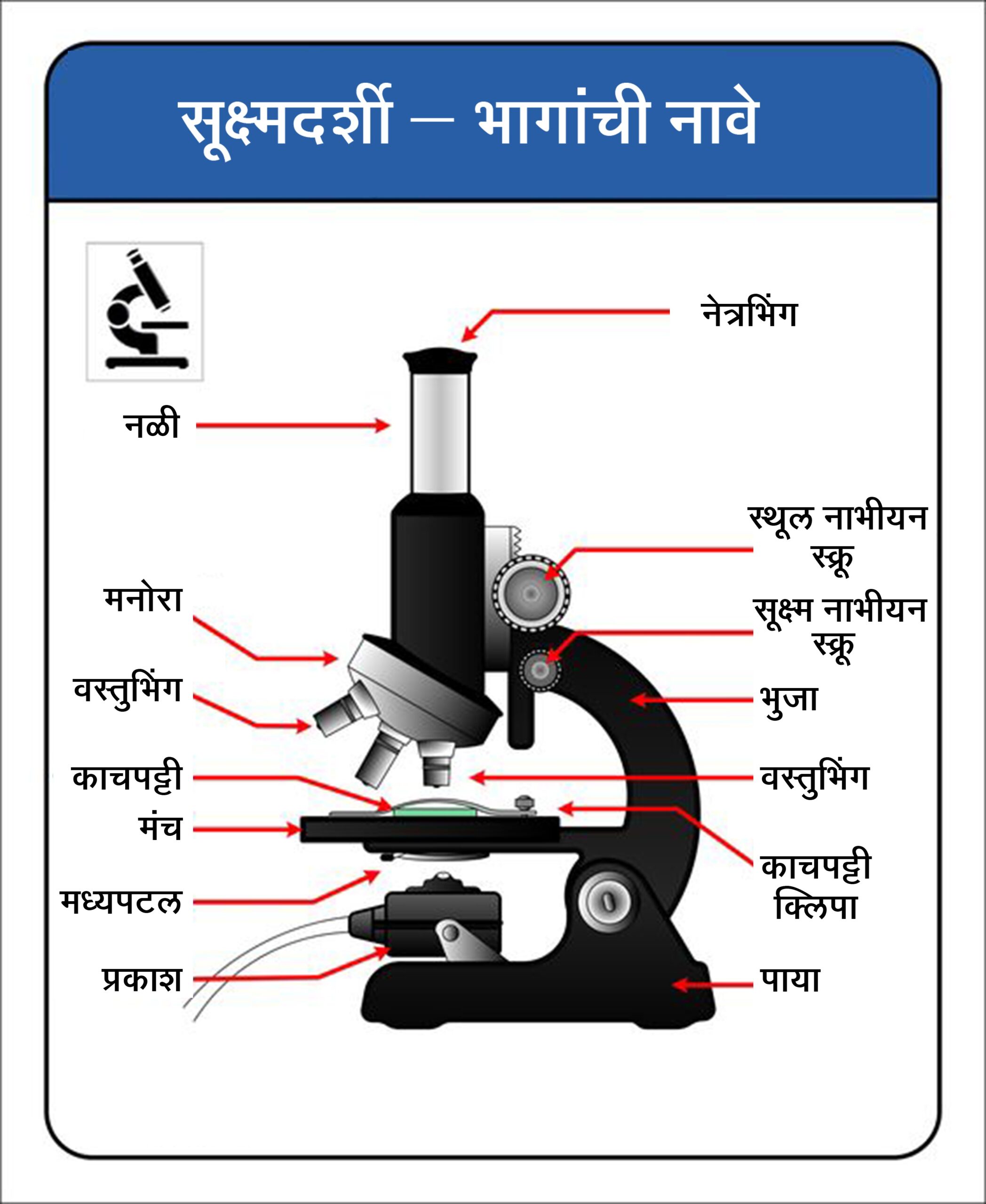 सूक्ष्मदर्शी (Microscope) मराठी विश्वकोश