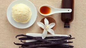 Read more about the article व्हॅनिला (Vanilla)