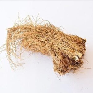 Read more about the article वाळा (Vetiver)