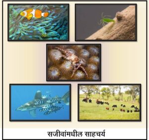 Read more about the article सजीवांमधील साहचर्य (Association in living organisms)