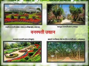 Read more about the article वनस्पती उद्यान (Botanical garden)