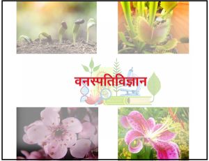 Read more about the article वनस्पतिविज्ञान (Botany)