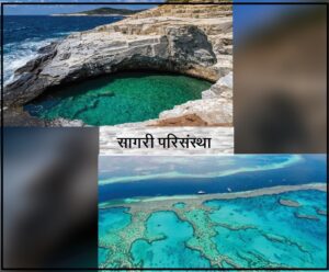 Read more about the article सागरी परिसंस्था (Marine ecosystem)