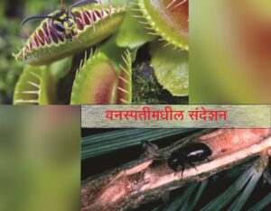 Read more about the article वनस्पतीमधील संदेशन (Plant communication)