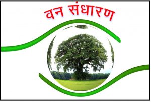 Read more about the article वन संधारण (Forest conservation)