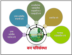 Read more about the article वन परिसंस्था (Forest ecosystem)