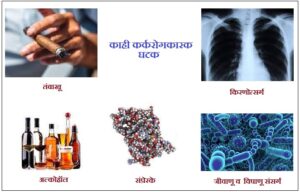 Read more about the article कर्करोगकारक घटक (Carcinogens)