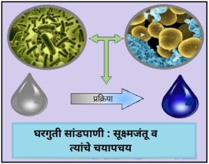 Read more about the article घरगुती सांडपाणी : सूक्ष्मजंतू व त्यांचे चयापचय (Household Wastewater : Microbes and their metabolism)