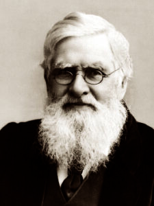 Read more about the article आल्फ्रेड रसेल वॉलेस (Alfred Russel Wallace)