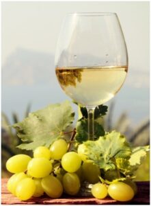 वाइननिर्मिती प्रक्रियेतील सूक्ष्मजंतुंचे कार्य (Microbial importance in Wine Production)