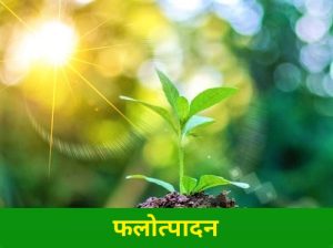 फलोत्पादन (Horticulture)