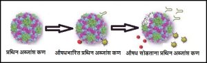 प्रथिन अब्जांश कण (Protein nanoparticles)