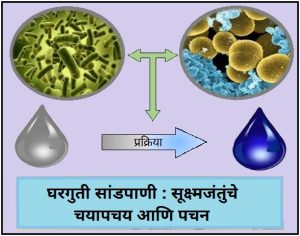 Read more about the article घरगुती सांडपाणी : सूक्ष्मजंतुंचे चयापचय आणि पचन (Household Wastewater : Metabolism and Digestion Microbes)