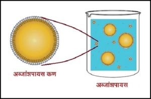 Read more about the article अब्जांशपायस (Nanoemulsions)