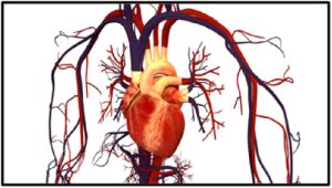 अब्जांश तंत्रज्ञान : हृदयविकार  (Nanotechnology : Heart diseases)
