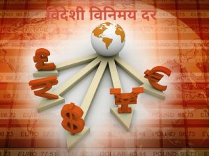 Read more about the article विदेशी विनिमय दर (Foreign Exchange Rate)