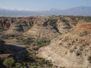 Read more about the article ओल्डुवायी गॉर्ज (Olduvai Gorge) (Oldupai Gorge)