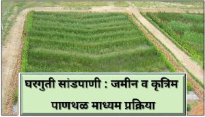 घरगुती सांडपाणी : जमिनीवर शुद्धीकरण व कृत्रिम पाणथळ (Household Wastewater : Land Treatment and Constructed Wetland)