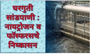 घरगुती सांडपाणी : नायट्रोजन व फॉस्फरसचे निष्कासन (Household Wastewater : Removal of Nitrogen and Phosphorus)