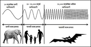 अवस्वनिक ध्वनी संप्रेषण  (Infrasound communication / subsonic communication)