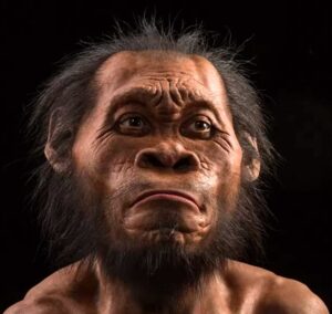 नलेदी मानव (Homo Naledi)