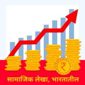सामाजिक लेखा, भारतातील (Social Account in India)