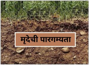 Read more about the article मृदेची पारगम्यता (Permeability of soil )