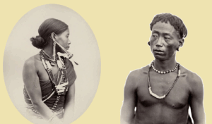 नोक्ते जमात (Nocte Tribe)