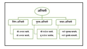 अन्विती (Agreement)
