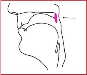 अनुनासिक (nasal sound)