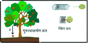 Read more about the article अक्षय्य बल (Conservative force)