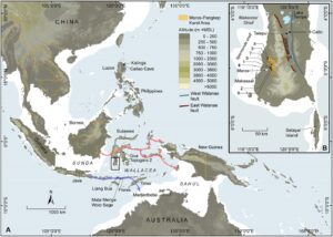 Read more about the article सुलावेसी बेट (वॉलेसियन बेटसमूह), इंडोनेशिया (Sulawesi Island, Wallacean Islands, Indonesia)