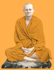 Read more about the article स्वामी हरिहरानंद आरण्य (Swami Hariharanand Aranya)