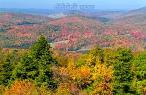 Read more about the article अ‍ॅलेगेनी पठार (Allegheny Plateau)